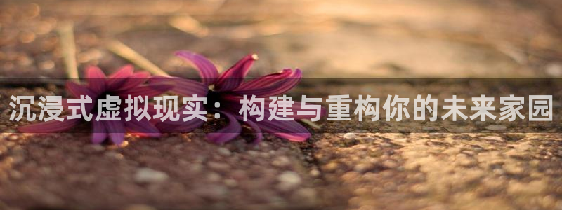 先锋娱乐游戏上分网址：沉浸式虚拟现实：构建与重构你的未来家园