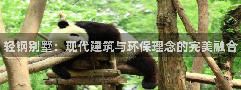 怎么下载先锋娱乐大厅：轻钢别墅：现代建筑与环保理念的完美融合