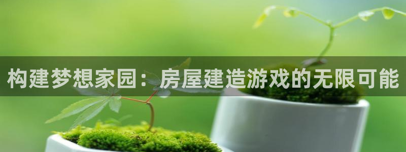 先锋娱乐管理集团怎么样：构建梦想家园：房屋建造游戏的无限可能