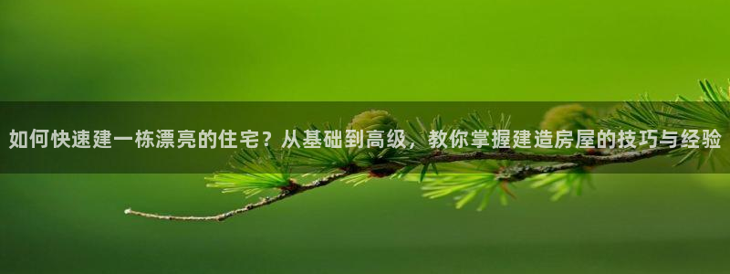 先锋娱乐上分：如何快速建一栋漂亮的住宅？从基础到高级，教你掌握建造房屋的技巧与经验
