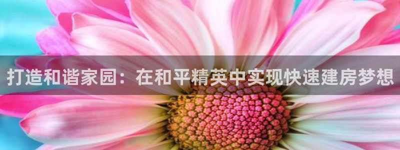 先锋娱乐挂：打造和谐家园：在和平精英中实现快速建房梦想