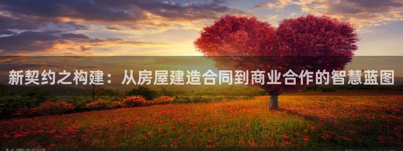 先锋娱乐集团公司：新契约之构建：从房屋建造合同到商业合作的智慧蓝图