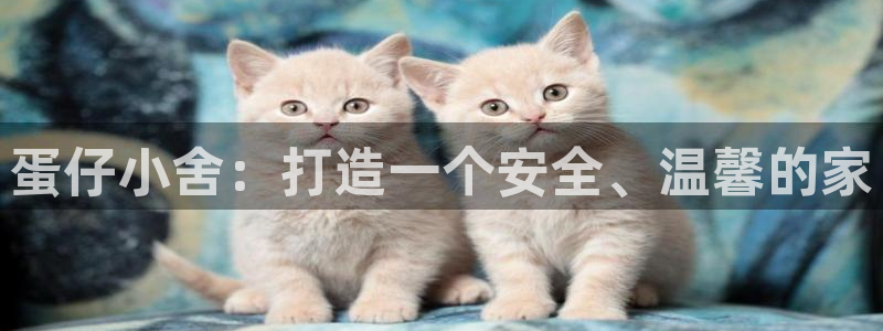 先锋娱乐大厅牛牛：蛋仔小舍：打造一个安全、温馨的家