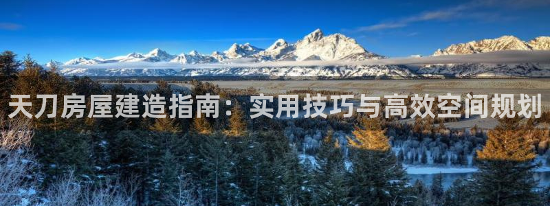 先锋娱乐股票
