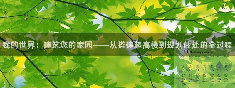 先锋娱乐账号注册不了：我的世界：建筑您的家园——从搭建起高楼到规划住处的全过程