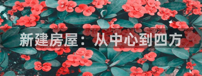 先锋娱乐大厅首页：新建房屋：从中心到四方