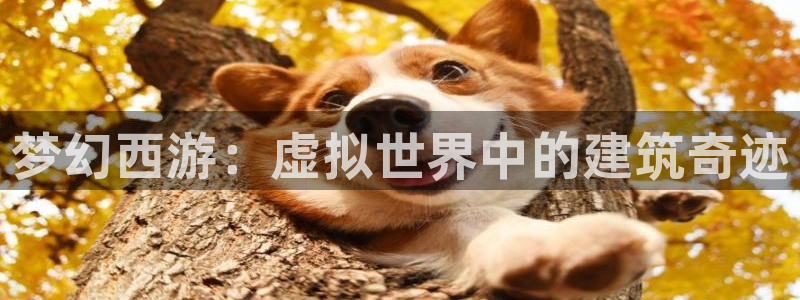 先锋娱乐资讯：梦幻西游：虚拟世界中的建筑奇迹