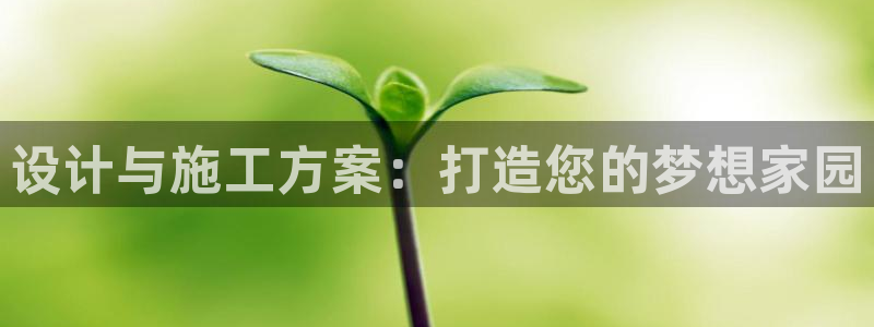 先锋娱乐集团：设计与施工方案：打造您的梦想家园