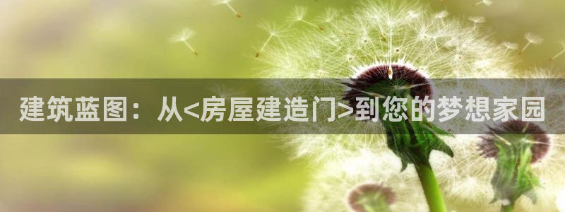 先锋娱乐登录：建筑蓝图：从<房屋建造门>到您的梦想家园