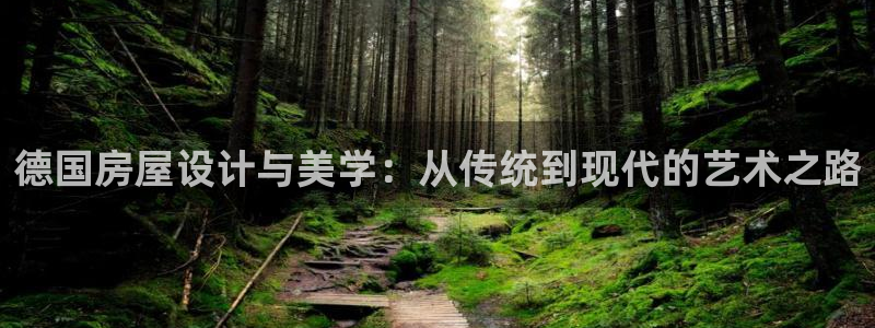 先锋澳门新娱乐：德国房屋设计与美学：从传统到现代的艺术之路
