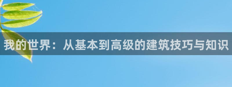 先锋娱乐登录：我的世界：从基本到高级的建筑技巧与知识