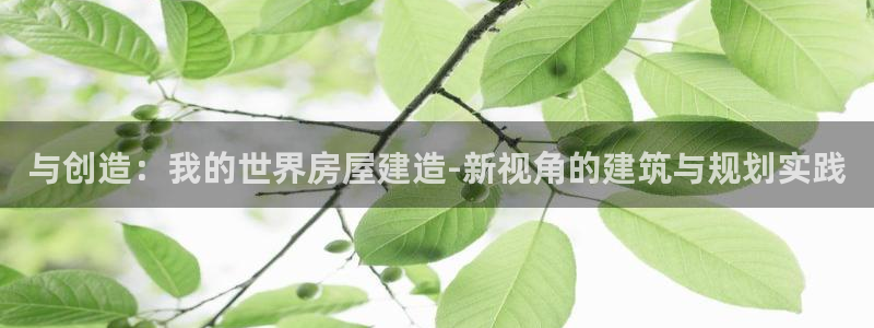 先锋娱乐体育管理集团：与创造：我的世界房屋建造-新视角的建筑与规划实践