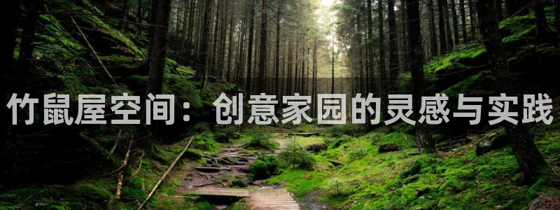 先锋娱乐传媒