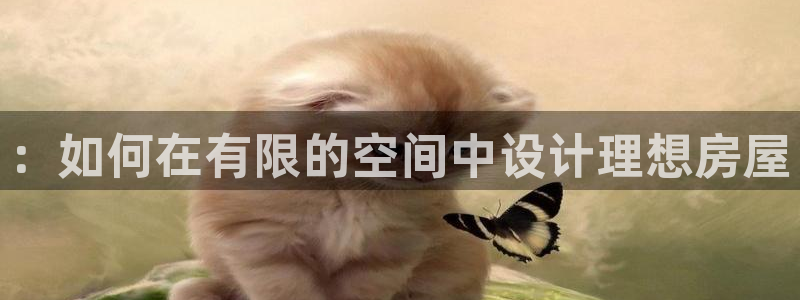 大连先锋娱乐