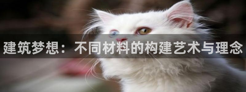 先锋娱乐登录：建筑梦想：不同材料的构建艺术与理念