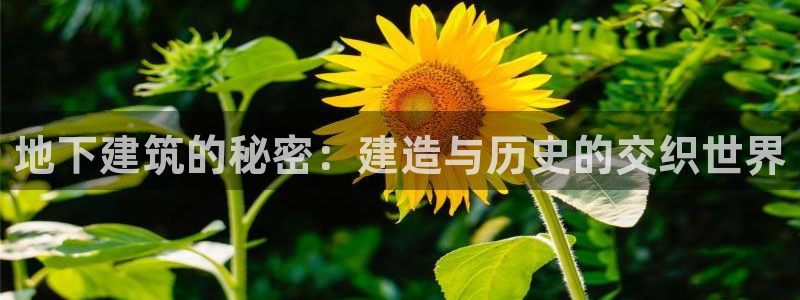 先锋娱乐炸金花