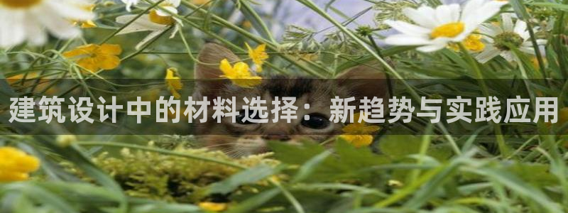 先锋娱乐公司