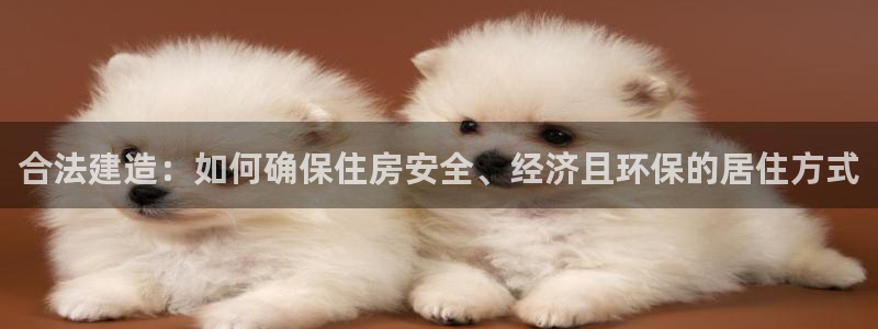 娱乐急先锋李诞甄子丹