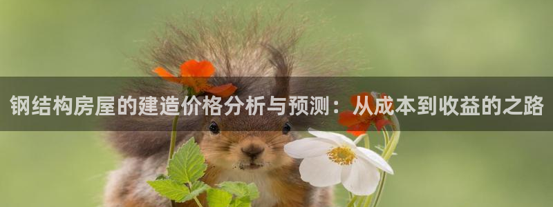 先锋娱乐股票
