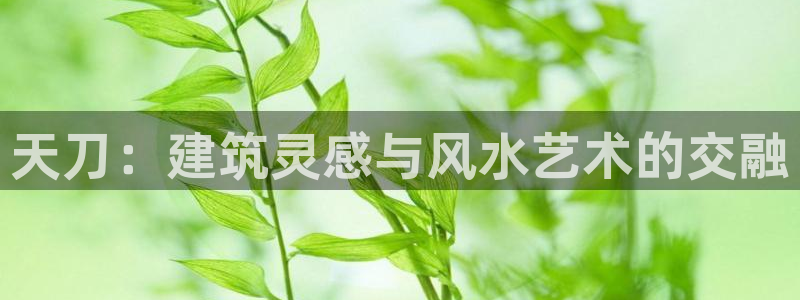 先锋娱乐简介图片：天刀：建筑灵感与风水艺术的交融