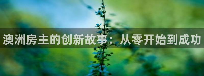 先锋娱乐邀请码多少：澳洲房主的创新故事：从零开始到成功