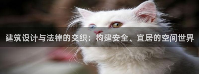 先锋娱乐传媒：建筑设计与法律的交织：构建安全、宜居的空间世界