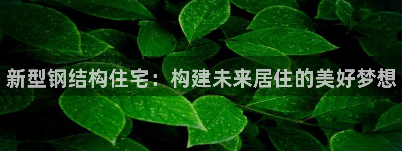 先锋娱乐游戏上分：新型钢结构住宅：构建未来居住的美好梦想