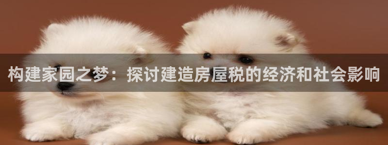 先锋娱乐传媒：构建家园之梦：探讨建造房屋税的经济和社会影响