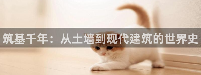 先锋 娱乐：筑基千年：从土墙到现代建筑的世界史