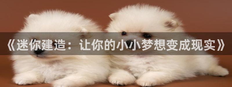 先锋娱乐播报：《迷你建造：让你的小小梦想变成现实》
