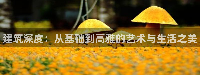 先锋娱乐在哪下载：建筑深度：从基础到高雅的艺术与生活之美