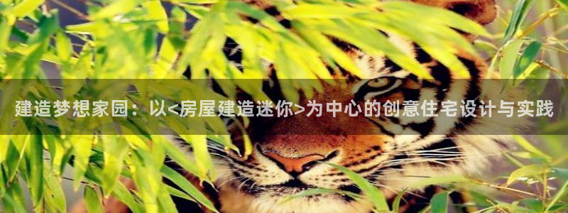 先锋娱乐情报：建造梦想家园：以<房屋建造迷你>为中心的创意住宅设计与实践