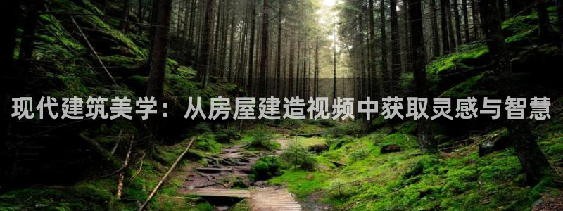先锋娱乐币：现代建筑美学：从房屋建造视频中获取灵感与智慧