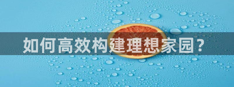 先锋电子车载娱乐系统：如何高效构建理想家园？