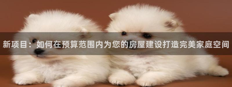 先锋娱乐资讯官网入口：新项目：如何在预算范围内为您的房屋建设打造完美家庭空间