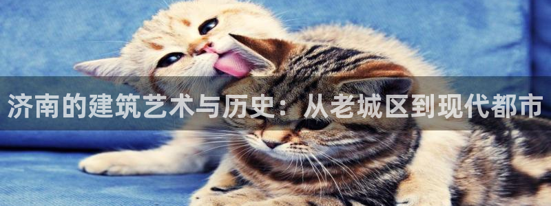 先锋娱乐大厅首页：济南的建筑艺术与历史：从老城区到现代都市
