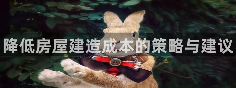 时代先锋娱乐：降低房屋建造成本的策略与建议