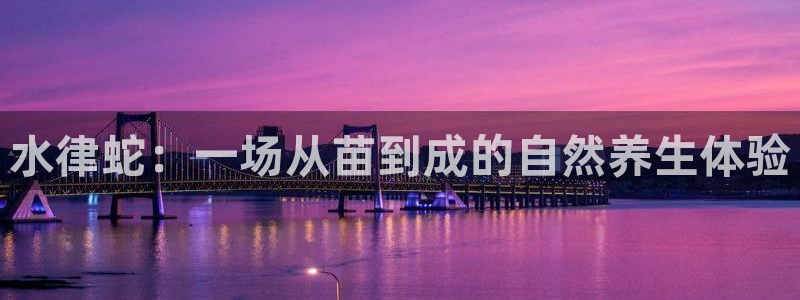 先锋澳门新娱乐：水律蛇：一场从苗到成的自然养生体验