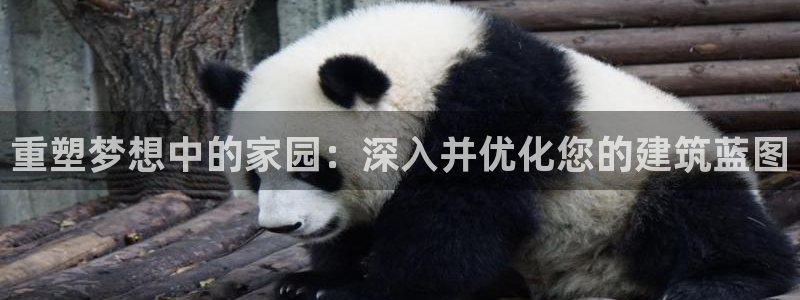 先锋娱乐中国：重塑梦想中的家园：深入并优化您的建筑蓝图