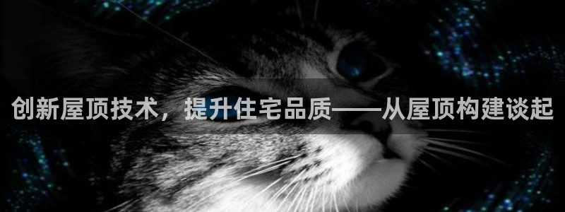 先锋娱乐是不是骗子：创新屋顶技术，提升住宅品质——从屋顶构建谈起