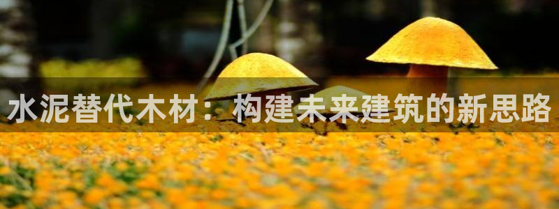 吉林先锋娱乐：水泥替代木材：构建未来建筑的新思路