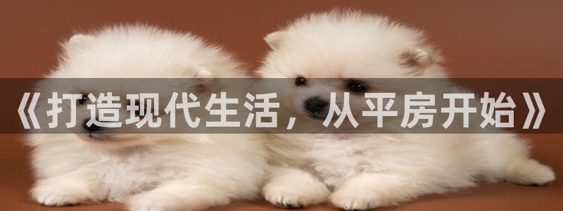 先锋娱乐官方：《打造现代生活，从平房开始》