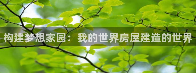 先锋娱乐币：构建梦想家园：我的世界房屋建造的世界