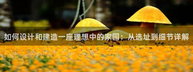先锋娱乐科技