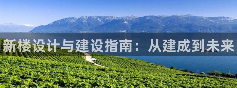 先锋娱乐币：新楼设计与建设指南：从建成到未来