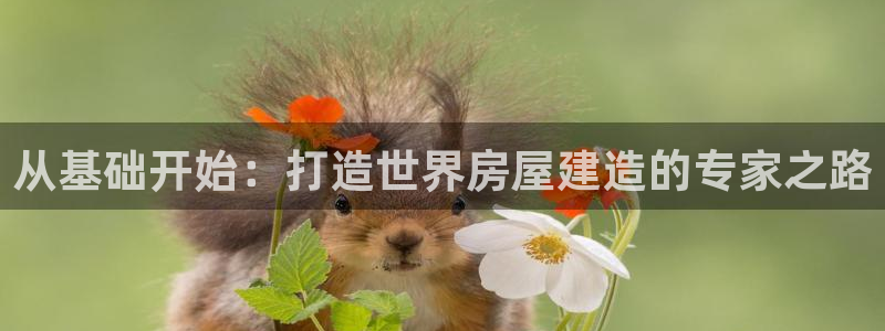先锋综合娱乐：从基础开始：打造世界房屋建造的专家之路