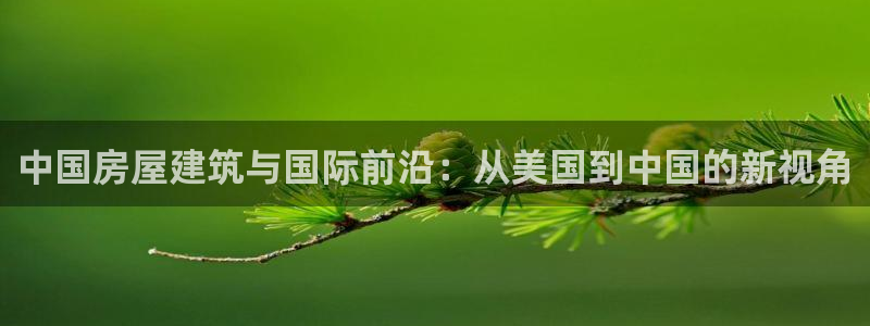先锋娱乐大厅透视：中国房屋建筑与国际前沿：从美国到中国的新视角