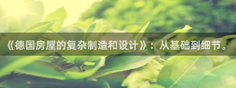 澳门先锋娱乐：《德国房屋的复杂制造和设计》：从基础到细节。