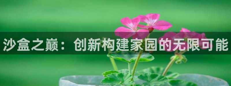 娱乐急先锋全集下载：沙盒之巅：创新构建家园的无限可能