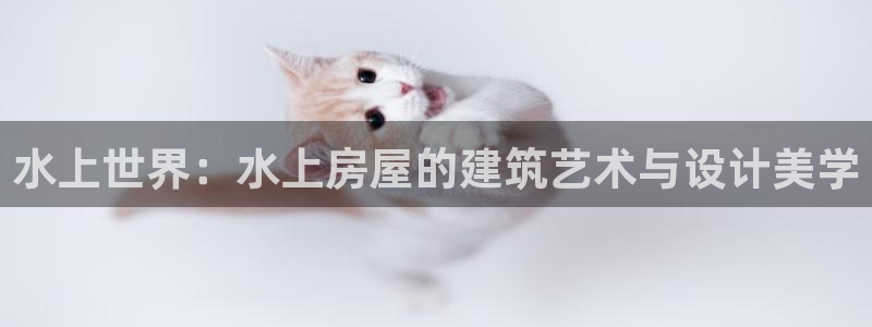先锋岛娱乐：水上世界：水上房屋的建筑艺术与设计美学